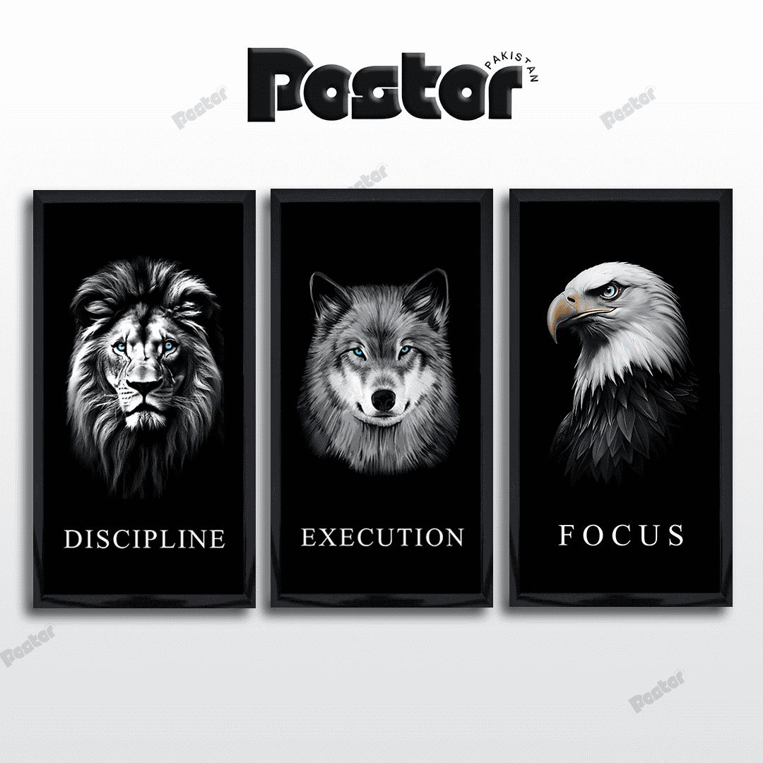 Motivational Wall Art | 3 Framed Animal Posters Set | #P037