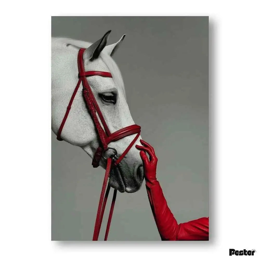 High-Fashion White Horse & Red Leather