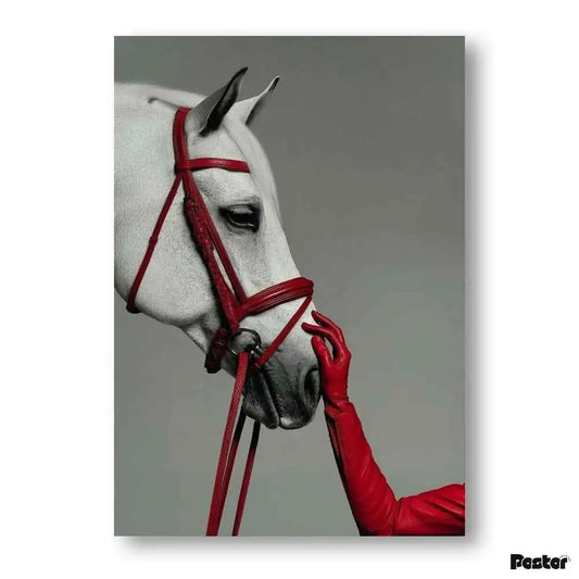 High-Fashion White Horse & Red Leather