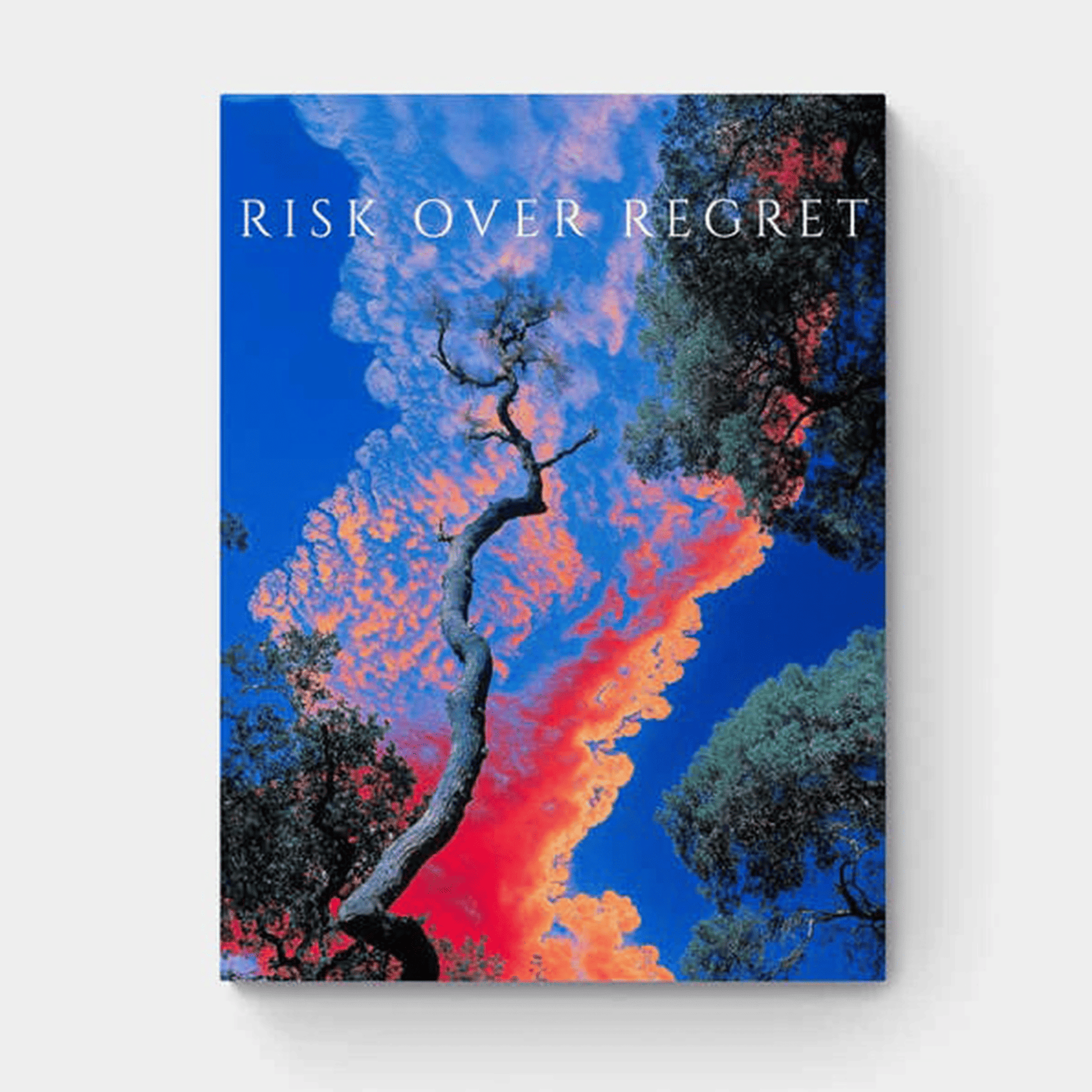 RISK OVER REGRET
